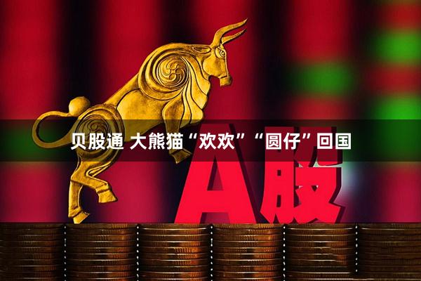 贝股通 大熊猫“欢欢”“圆仔”回国