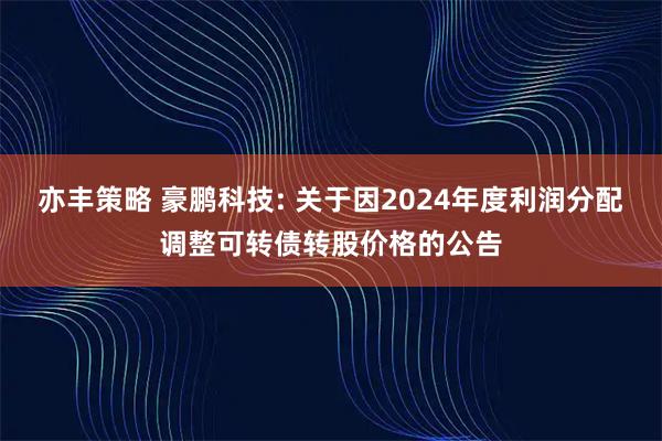 亦丰策略 豪鹏科技: 关于因2024年度利润分配调整可转债转股价格的公告