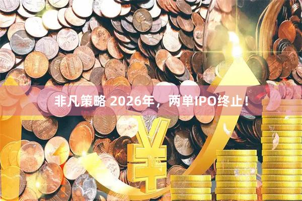 非凡策略 2026年，两单IPO终止！