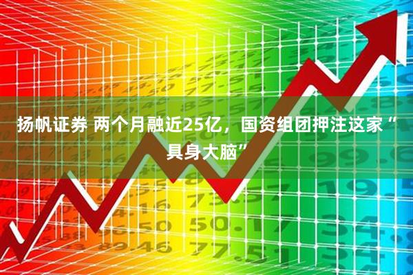 扬帆证券 两个月融近25亿,国资组团押注这家“具身大脑”