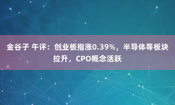 金谷子 午评：创业板指涨0.39%，半导体等板块拉升，CPO概念活跃